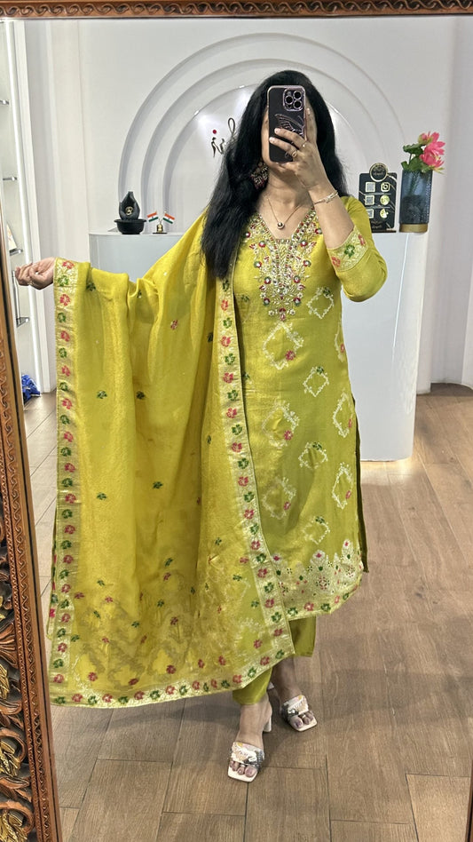Light Green Tissue Floral Handworked Kurti